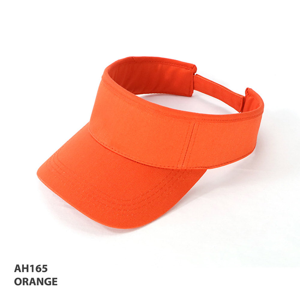 AH165 Visor