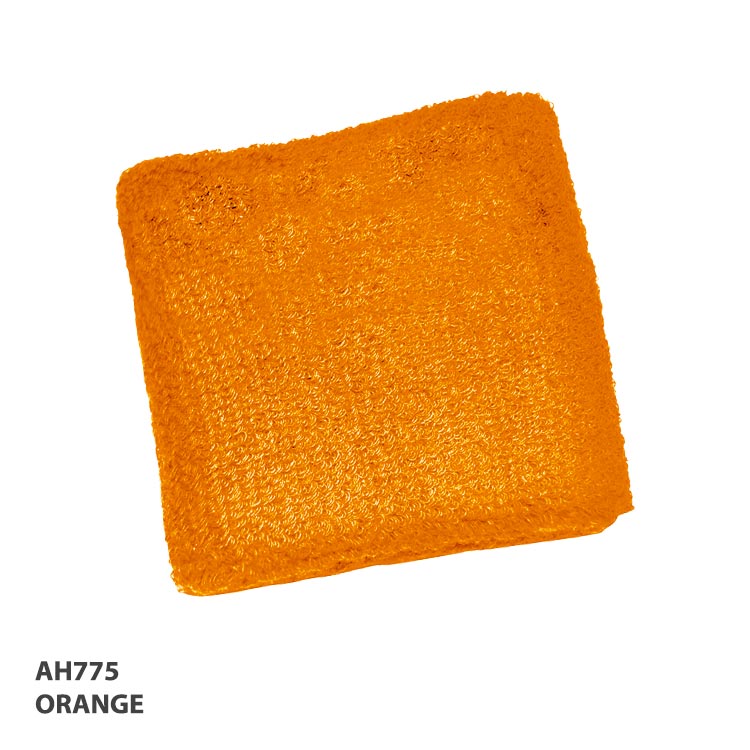 AH775 Wrist Band 2.75 inch