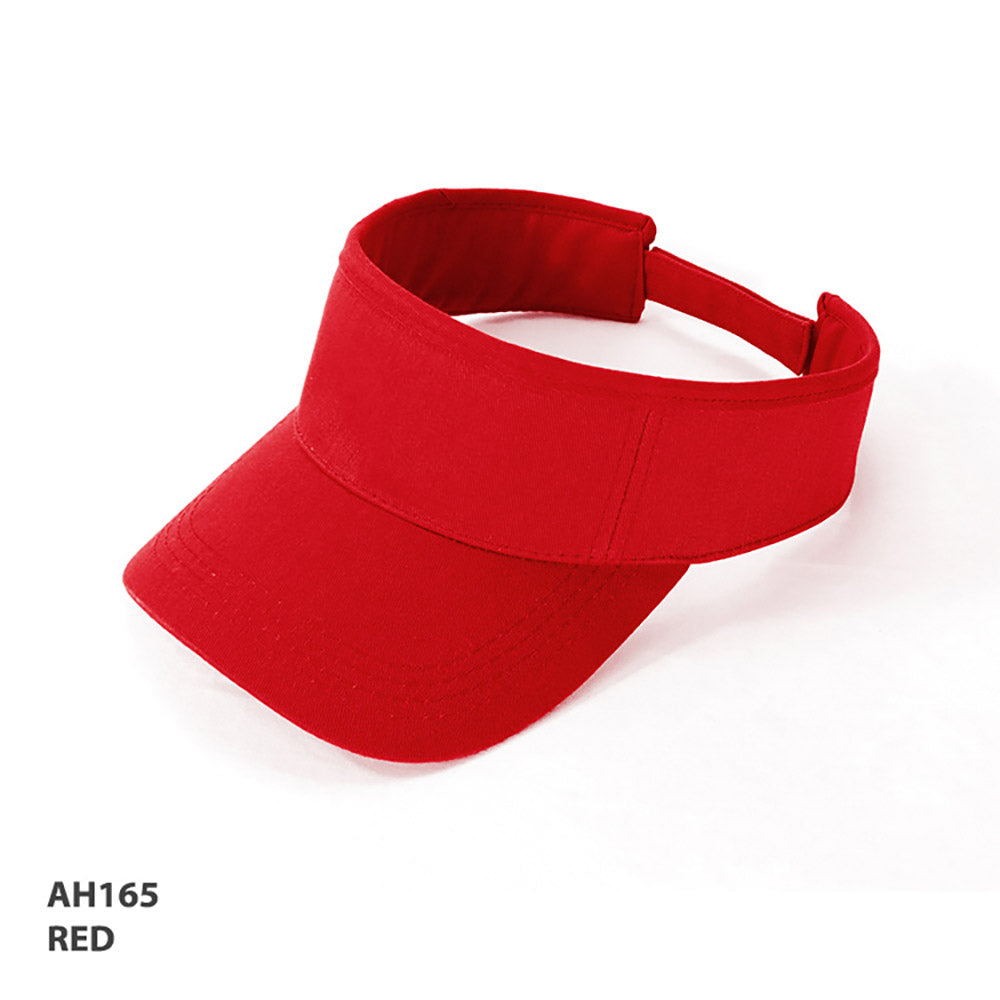 AH165 Visor