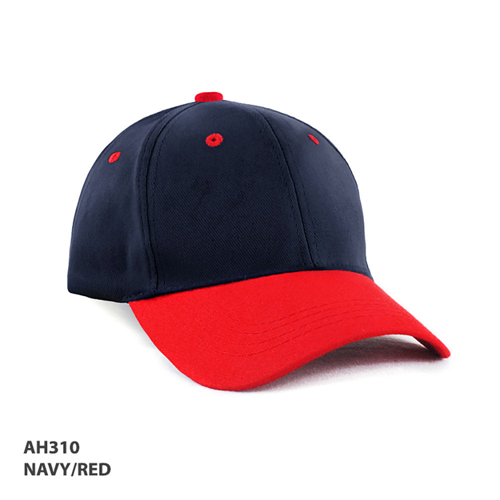AH310 HBC two tone Cap
