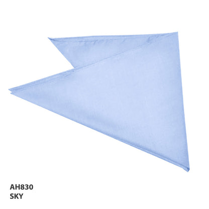 AH830 Bandanna