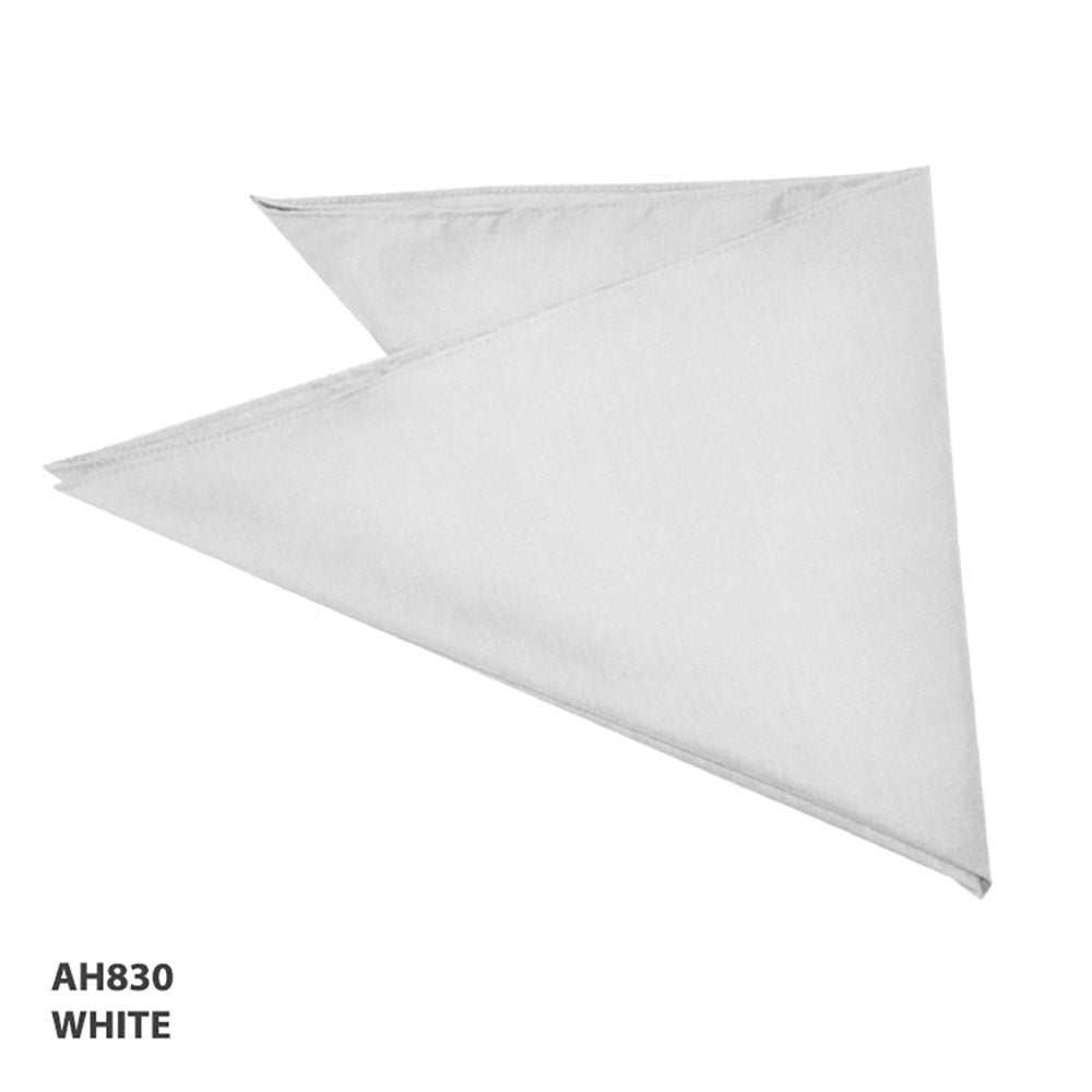 AH830 Bandanna