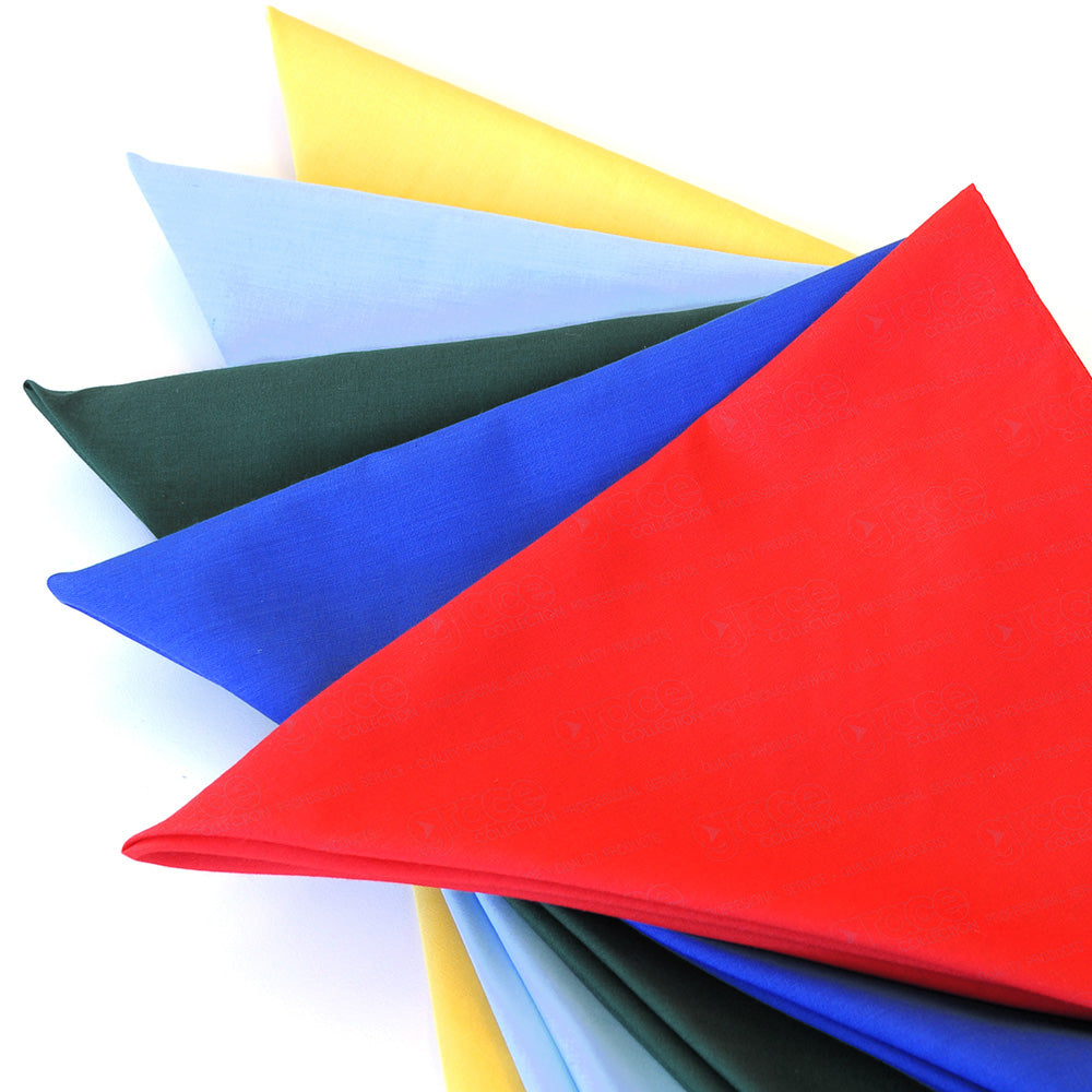 AH830 Bandanna