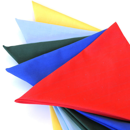 AH830 Bandanna